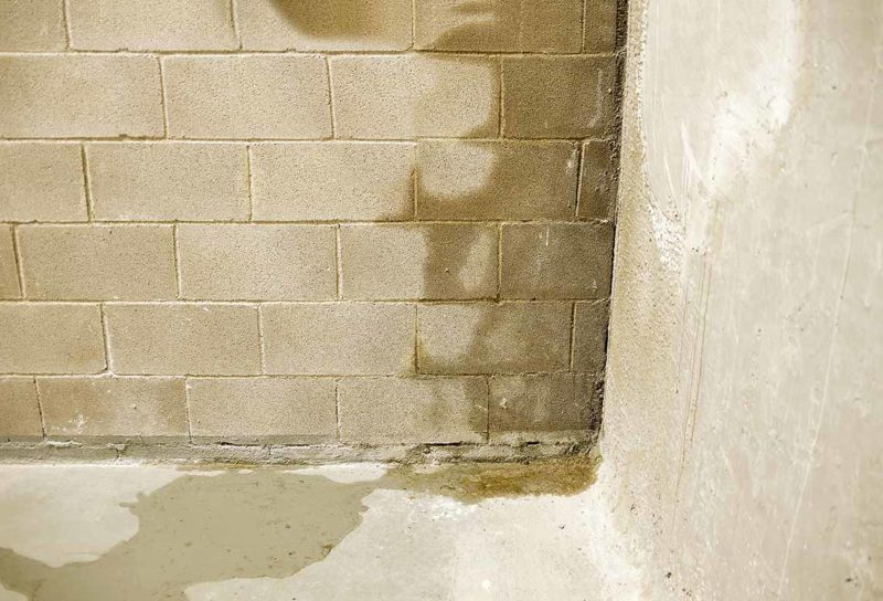 Why is Water Seeping Through My Hamilton Basement Walls?