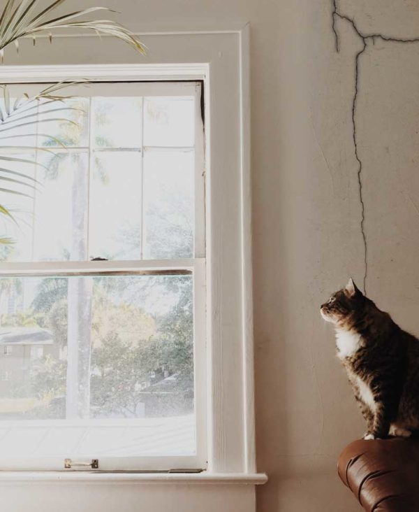 Why Are My Walls Cracking?