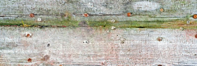 rotting crawlspace joist