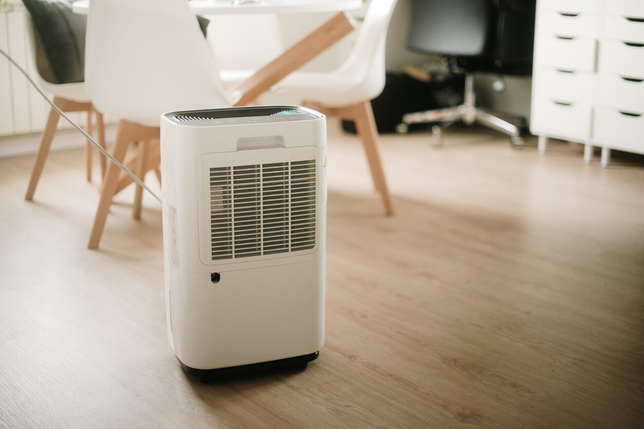 basement dehumidifier