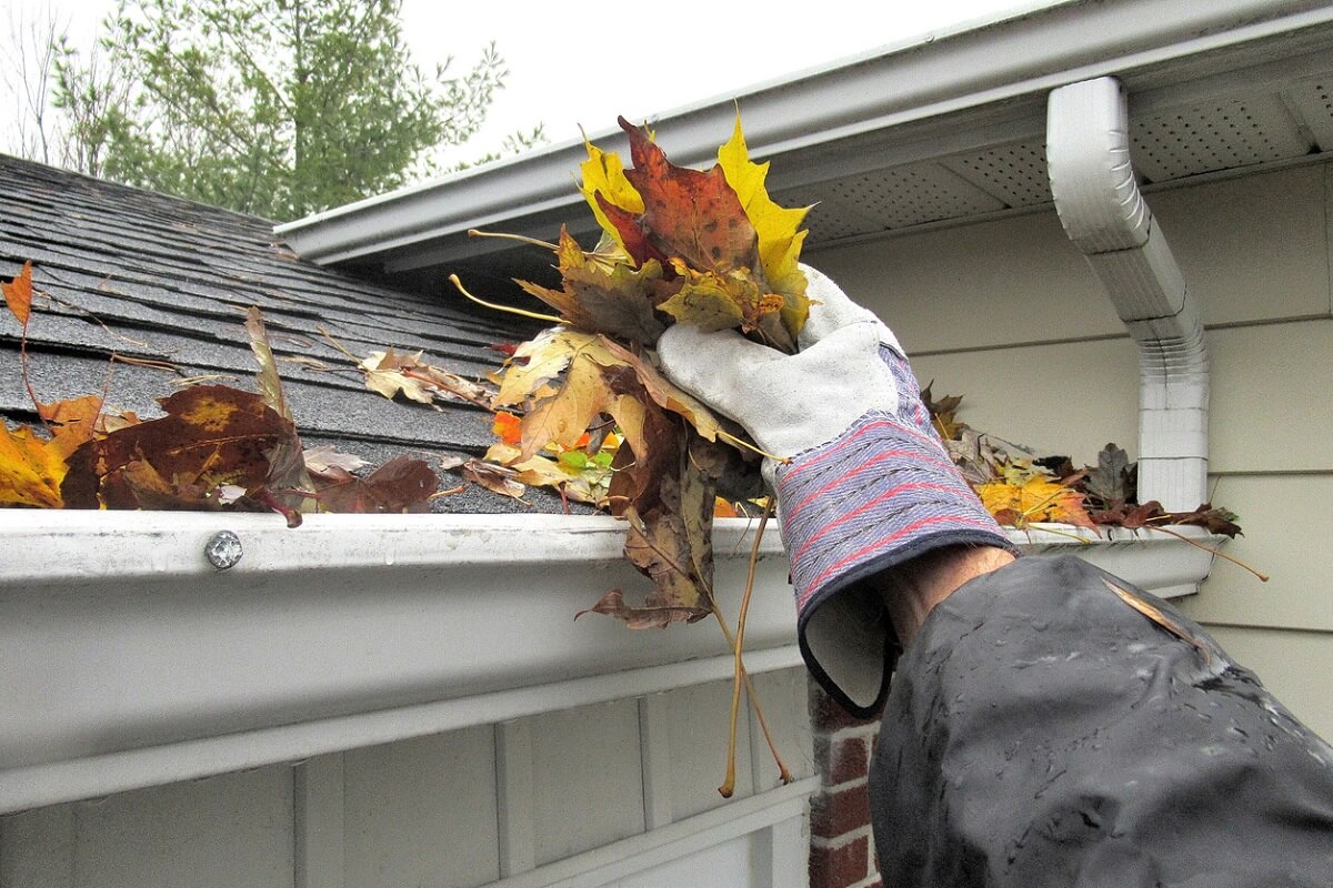 removing leaves from eaves