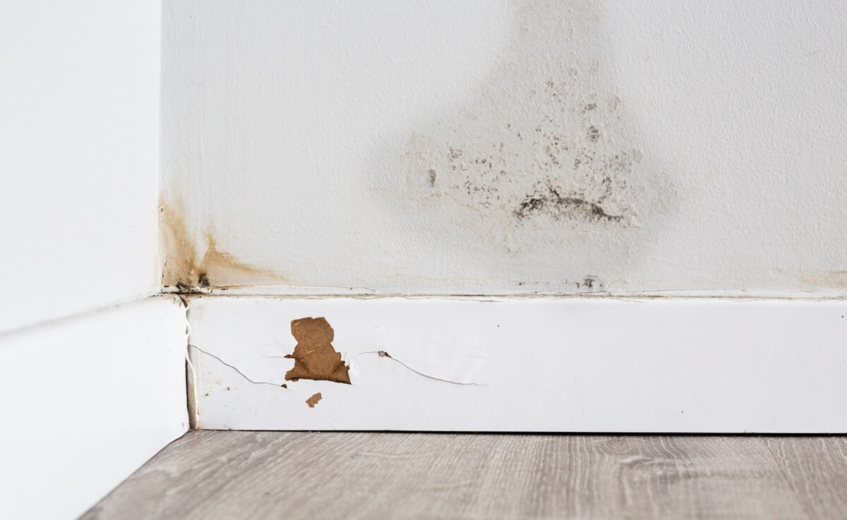 finished wall with leak